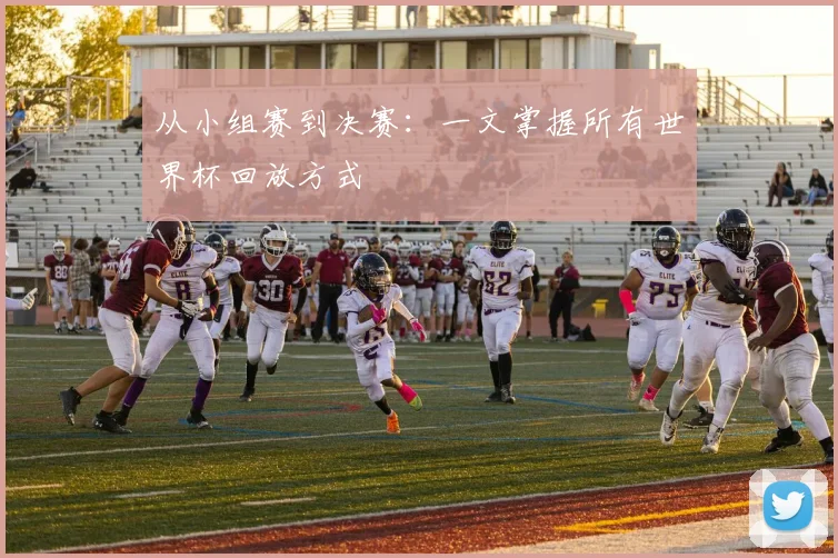 从小组赛到决赛:一文掌握所有世界杯回放方式