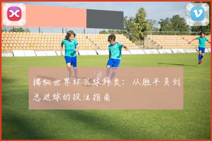 揭秘世界杯买球种类：从胜平负到总进球的投注指南