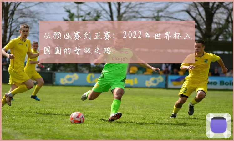 从预选赛到正赛：2022年世界杯入围国的晋级之路