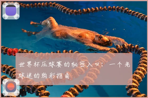 世界杯压球赛的秘密入口:一个老球迷的购彩指南
