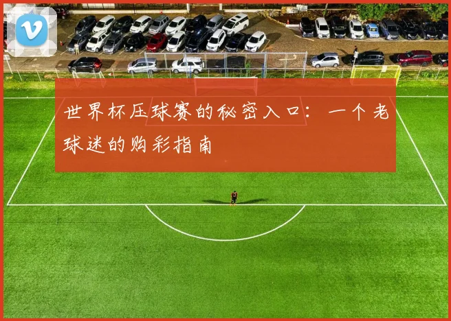 世界杯压球赛的秘密入口：一个老球迷的购彩指南