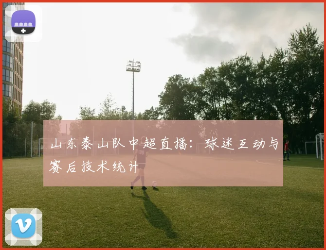 山东泰山队中超直播:球迷互动与赛后技术统计